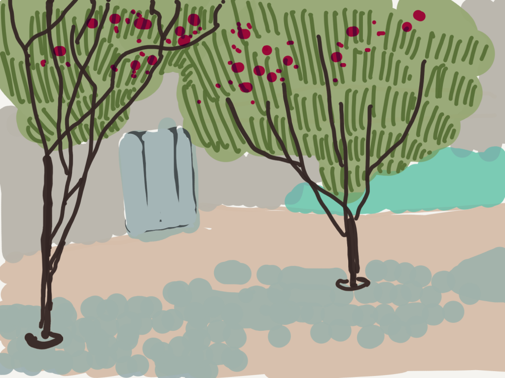 Tree Seeds — Piece 2