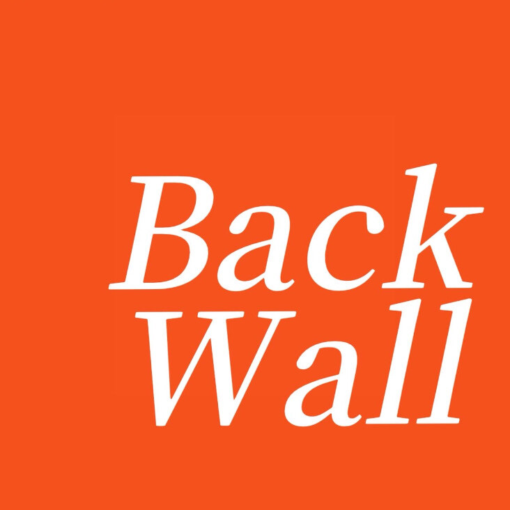 BACKWALL 后墙艺术媒体品牌标志